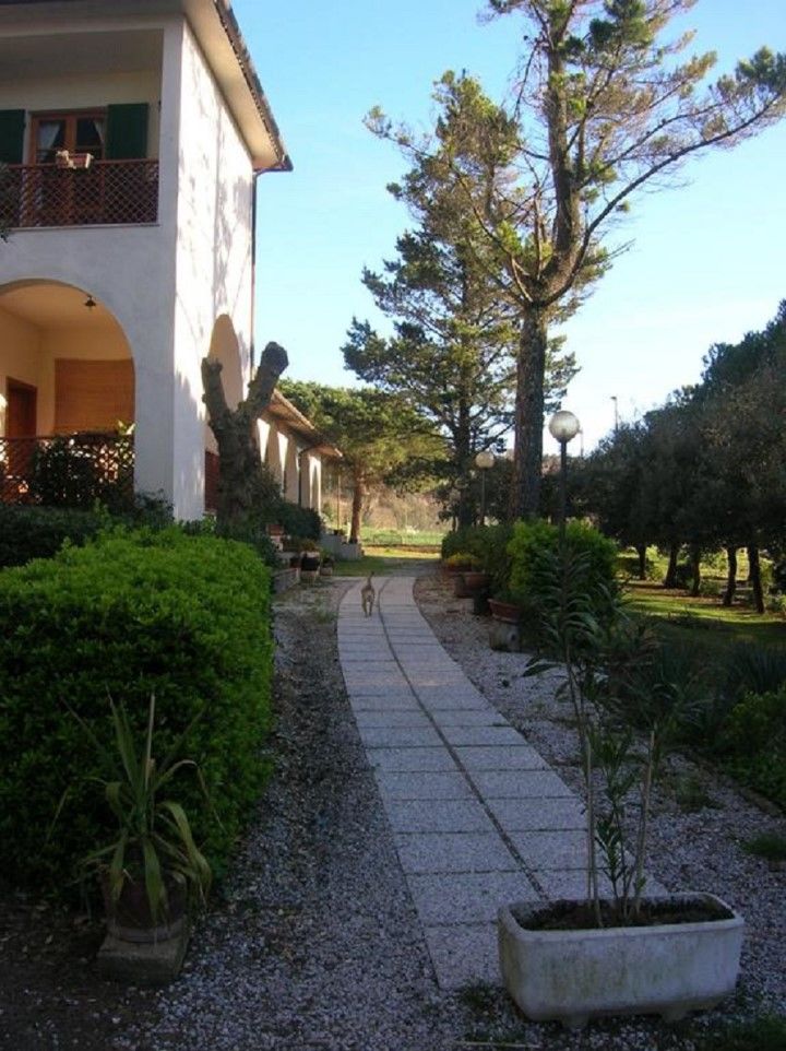 Hotel Il Poggetto Castellina Marittima Exteriör bild